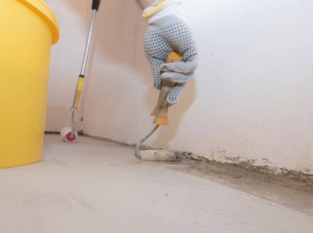 Best Bed Bug Extermination  in Griggsvle, IL